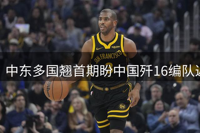 中东多国翘首期盼中国歼16编队返航途中停留